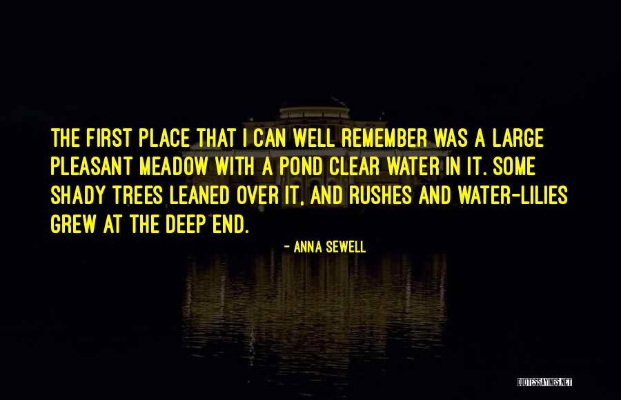 Lily Pond Quotes By Anna Sewell