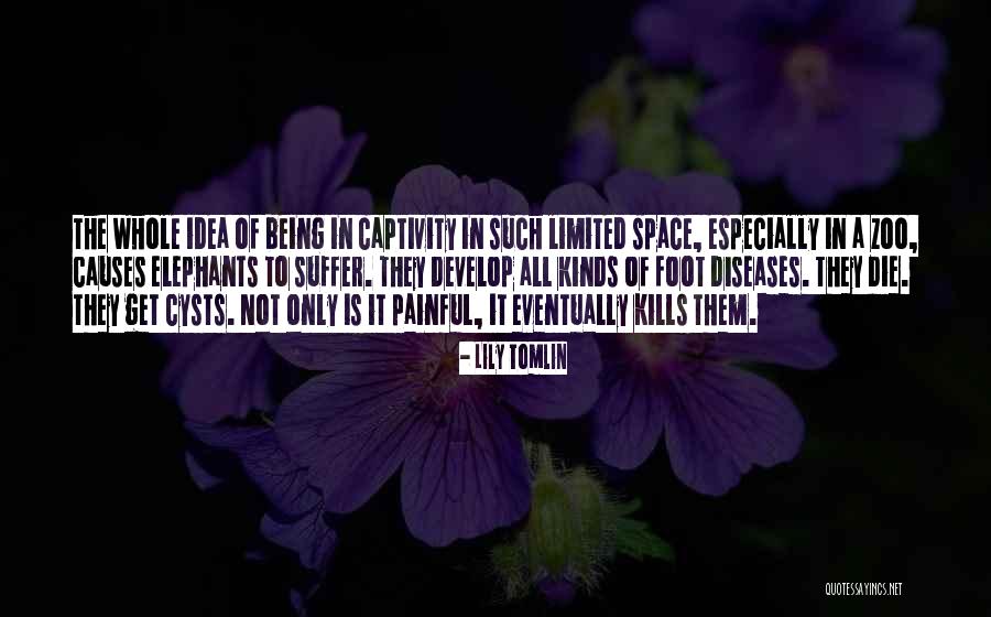 Lily Tomlin Quotes 1856735 Lily Tomlin Quotes 1856735