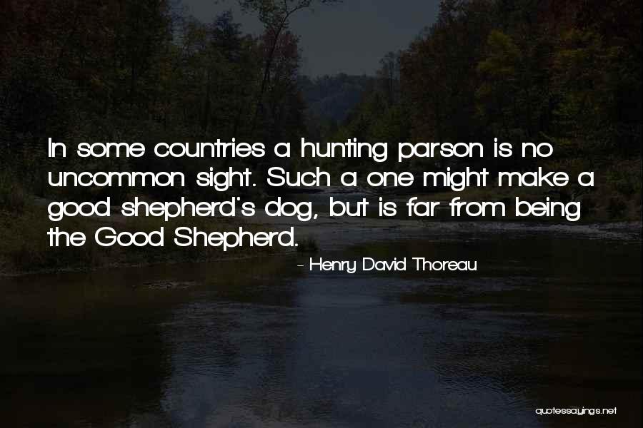 Lilyvale Nsw Quotes By Henry David Thoreau Lilyvale Nsw Quotes By Henry David Thoreau