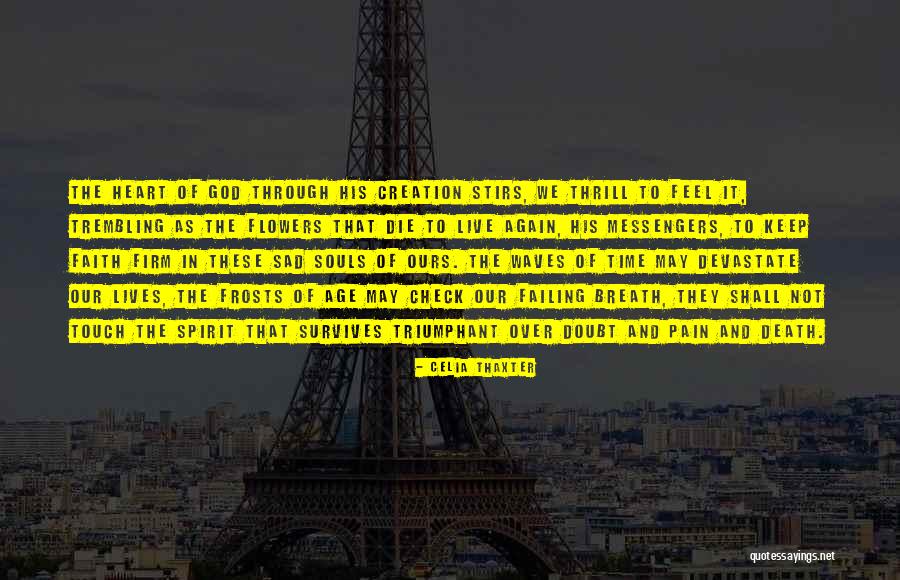 Limaces De Mer Quotes By Celia Thaxter Limaces De Mer Quotes By Celia Thaxter