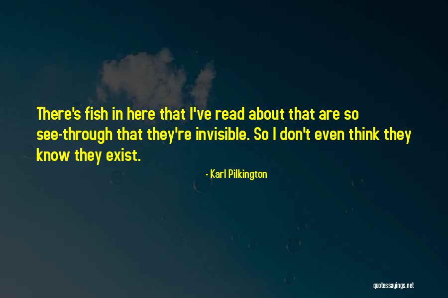 Limaginaire Terrasson Quotes By Karl Pilkington Limaginaire Terrasson Quotes By Karl Pilkington