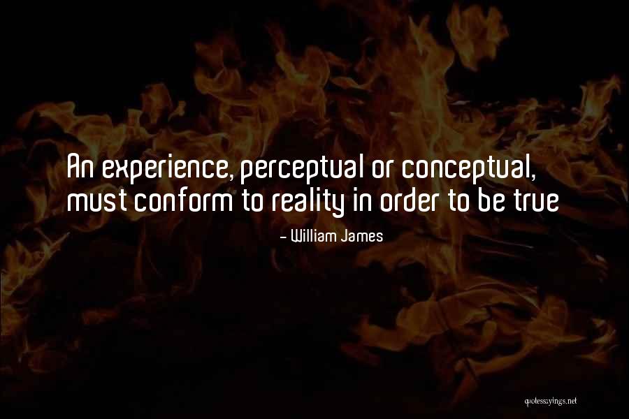 Limarija Quotes By William James Limarija Quotes By William James