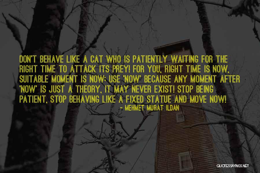 Limbajul Trupului Quotes By Mehmet Murat Ildan Limbajul Trupului Quotes By Mehmet Murat Ildan