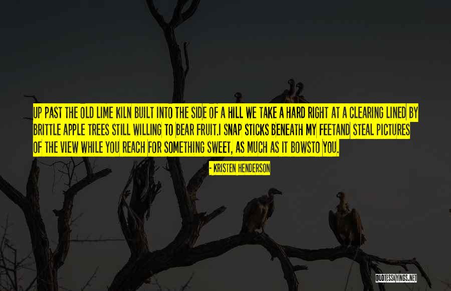 Lime Quotes By Kristen Henderson Lime Quotes By Kristen Henderson