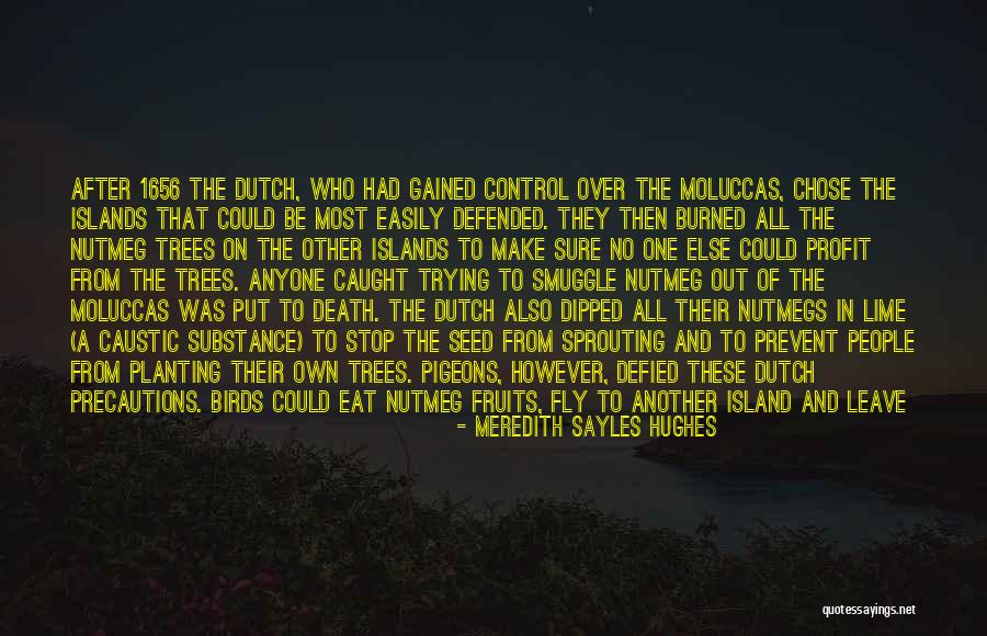 Lime Quotes By Meredith Sayles Hughes Lime Quotes By Meredith Sayles Hughes
