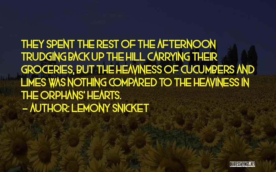 Limes Quotes By Lemony Snicket