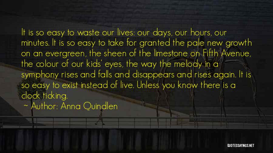 Limestone Quotes By Anna Quindlen