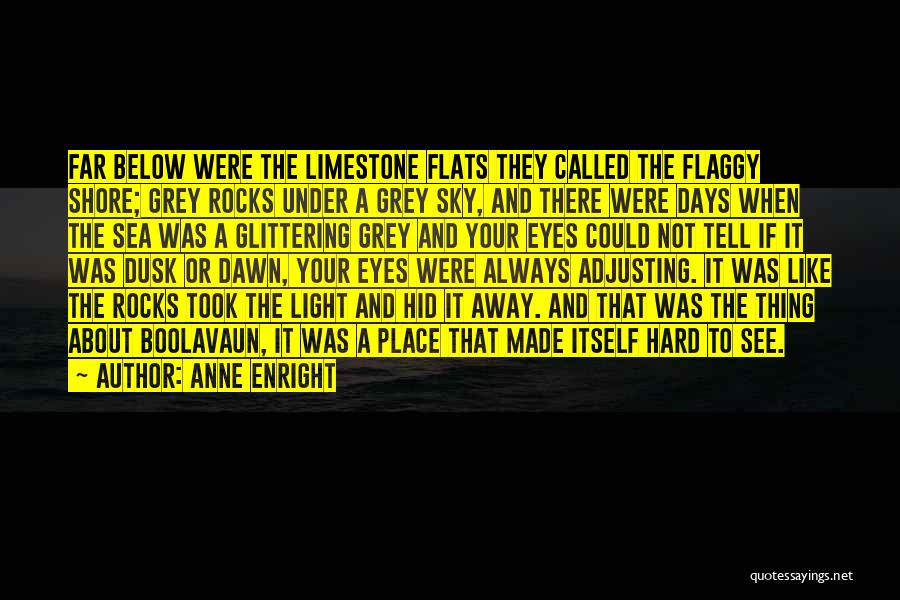 Limestone Quotes By Anne Enright