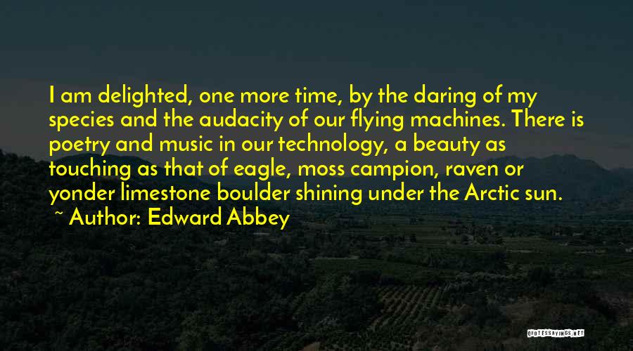 Limestone Quotes By Edward Abbey