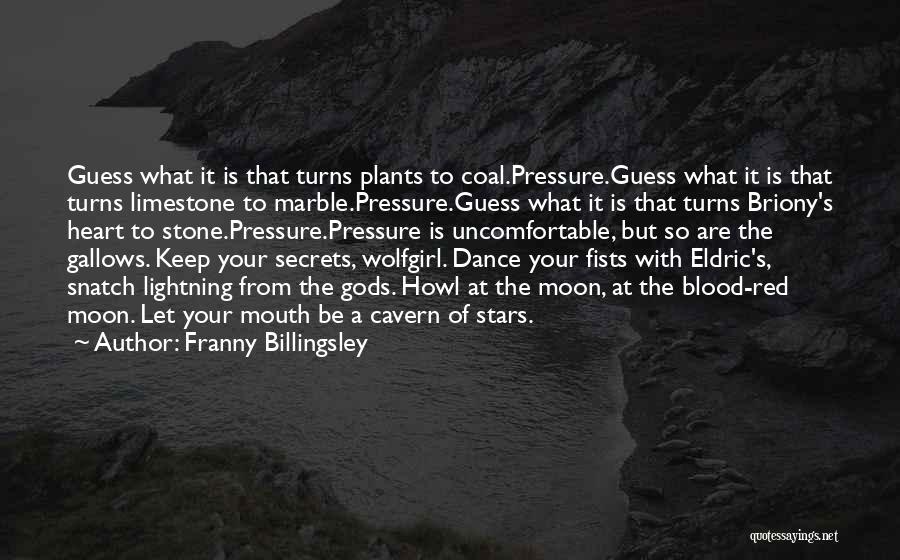 Limestone Quotes By Franny Billingsley