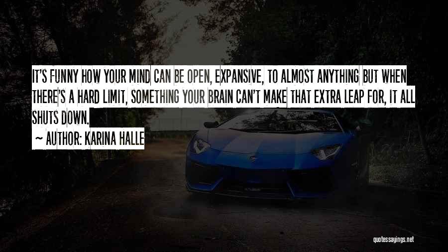 Limit Funny Quotes By Karina Halle