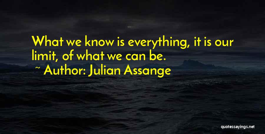 Limit Quotes By Julian Assange