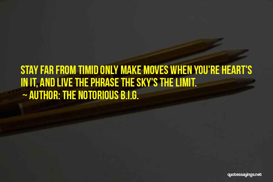 Limit Quotes By The Notorious B.I.G.