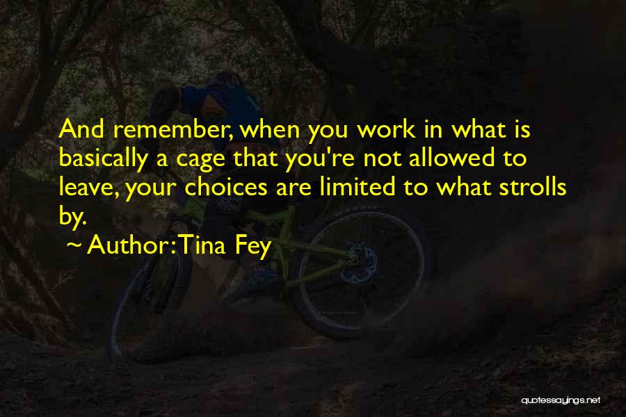 Limited Choices Quotes By Tina Fey