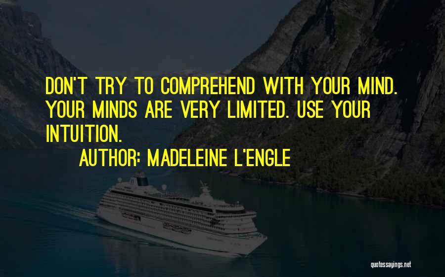 Limited Minds Quotes By Madeleine L'Engle