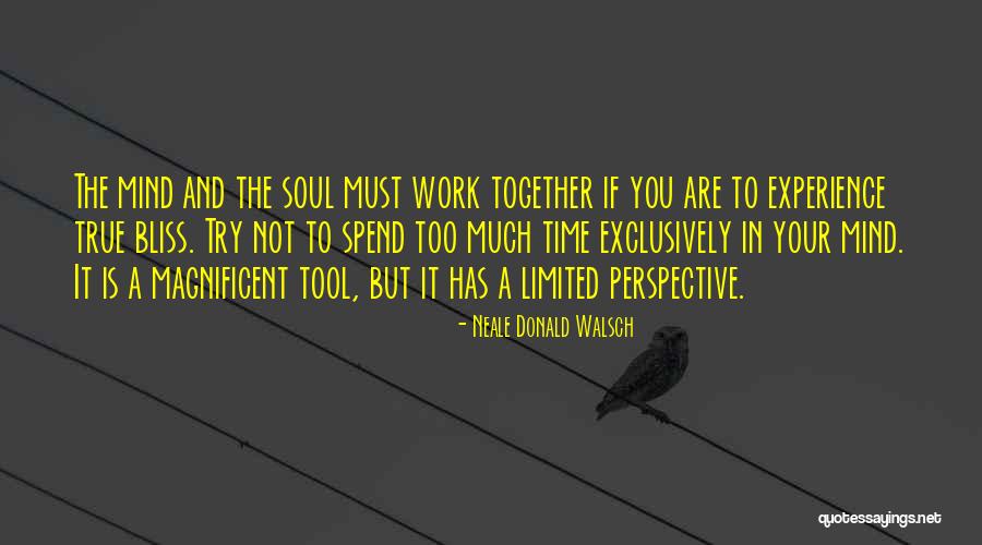 Limited Perspective Quotes By Neale Donald Walsch