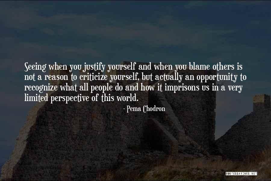 Limited Perspective Quotes By Pema Chodron