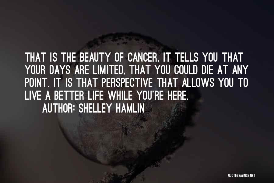Limited Perspective Quotes By Shelley Hamlin