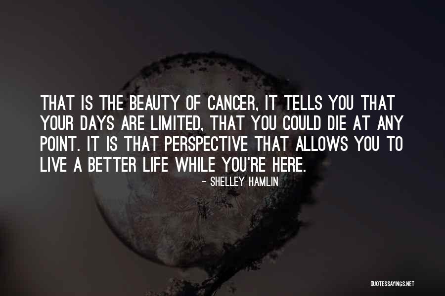 Limited Perspective Quotes By Shelley Hamlin