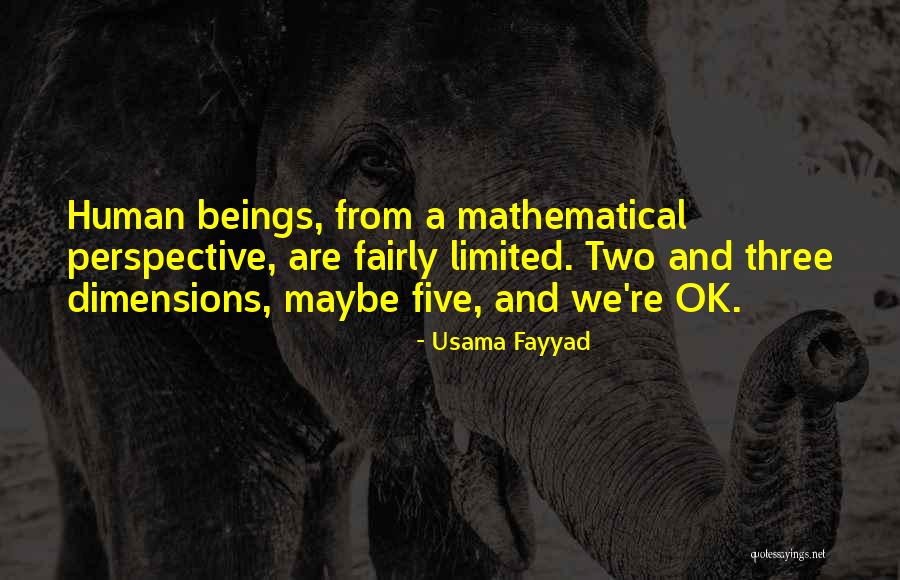 Limited Perspective Quotes By Usama Fayyad