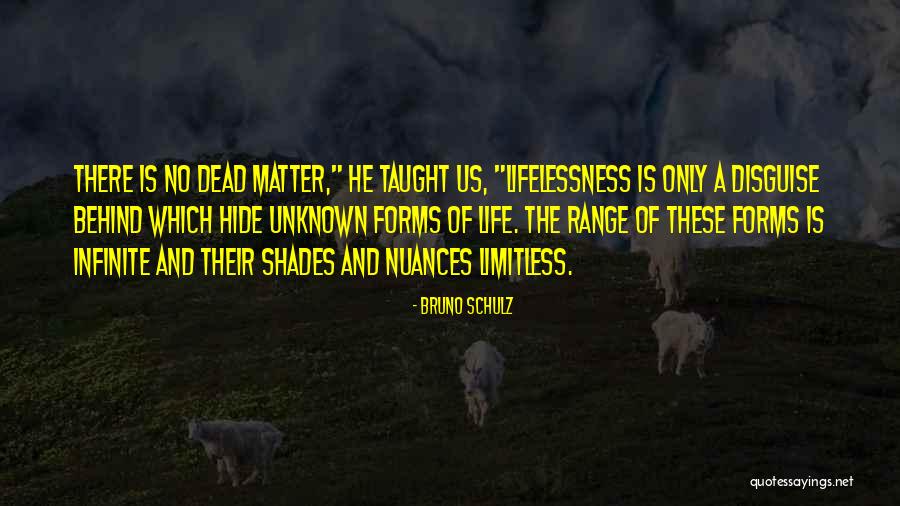 Limitless Life Quotes By Bruno Schulz