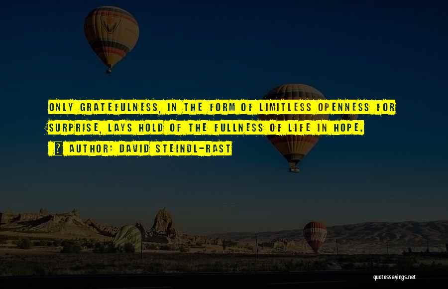 Limitless Quotes By David Steindl-Rast