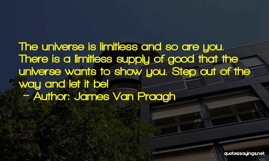 Limitless Quotes By James Van Praagh