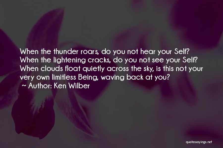 Limitless Sky Quotes By Ken Wilber