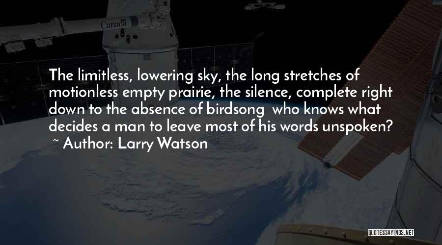 Limitless Sky Quotes By Larry Watson