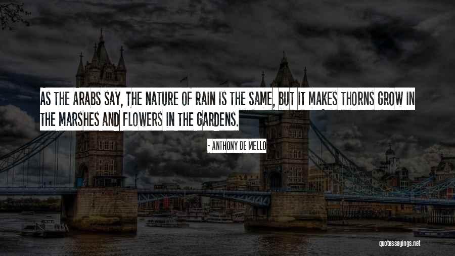 Limits And Derivatives Quotes By Anthony De Mello Limits And Derivatives Quotes By Anthony De Mello