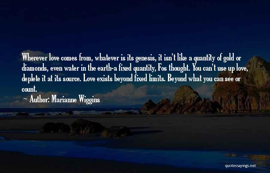 Limits In Love Quotes By Marianne Wiggins
