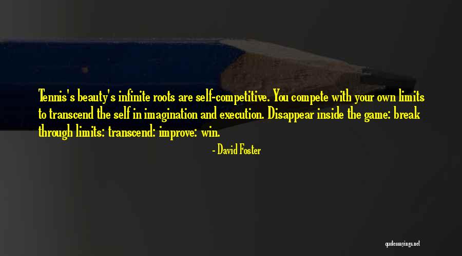 Limits Limits And Imagination Quotes By David Foster Limits Limits And Imagination Quotes By David Foster