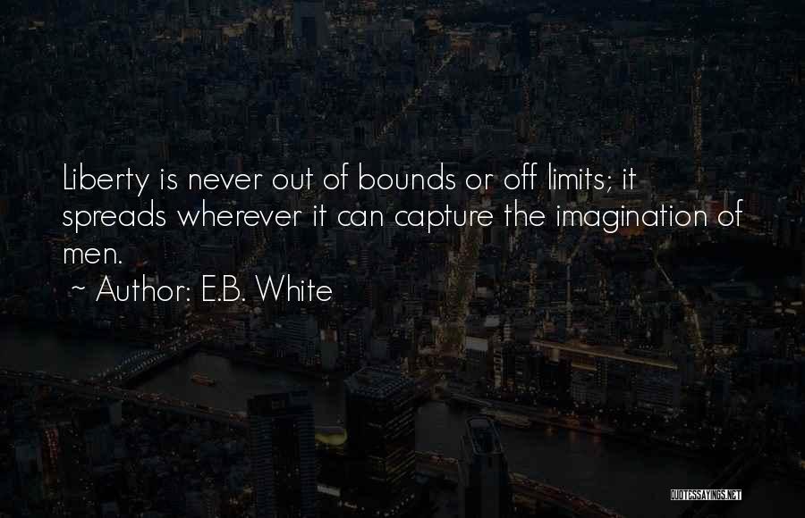 Limits Of Imagination Quotes By E.B. White