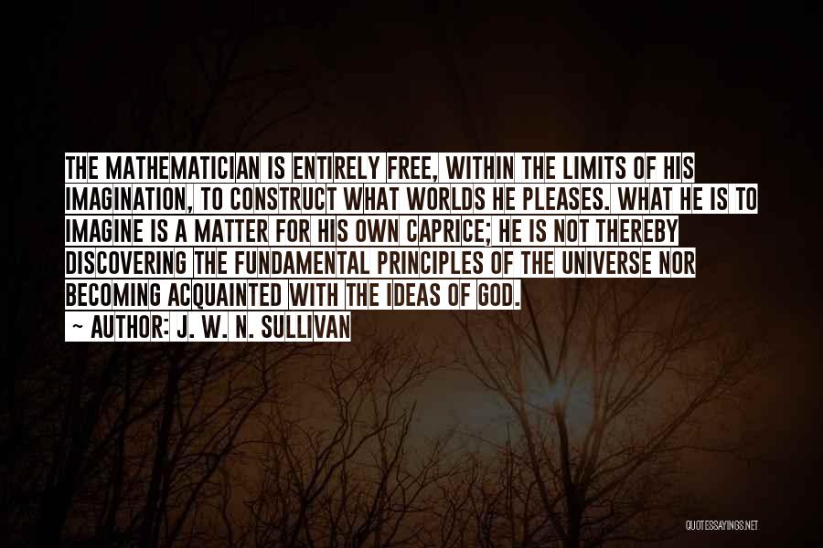 Limits Of Imagination Quotes By J. W. N. Sullivan