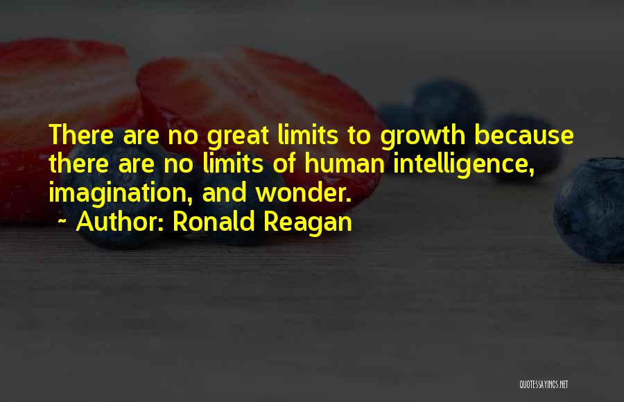 Limits Of Imagination Quotes By Ronald Reagan