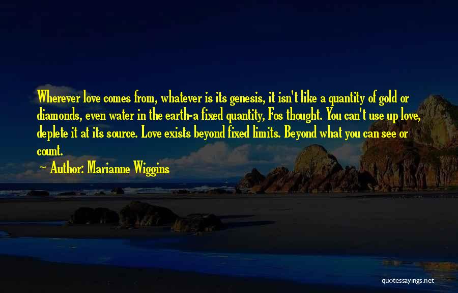 Limits Of Love Quotes By Marianne Wiggins