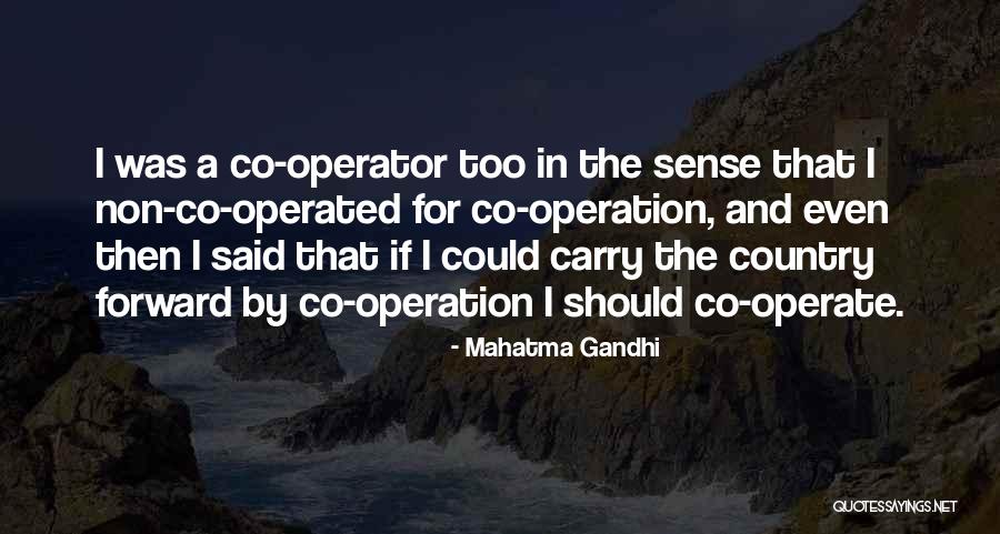 Limmer Wealth Quotes By Mahatma Gandhi Limmer Wealth Quotes By Mahatma Gandhi