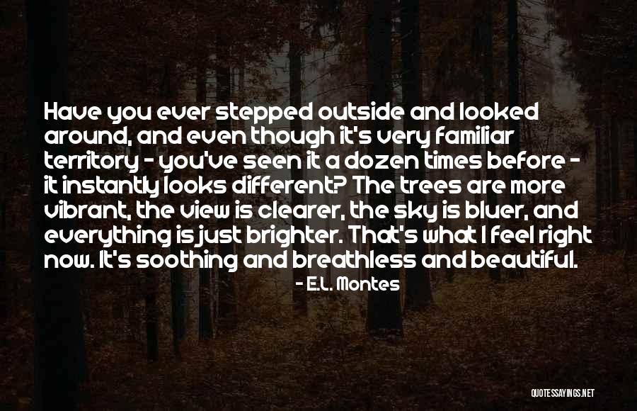 Limmeric Quotes By E.L. Montes Limmeric Quotes By E.L. Montes