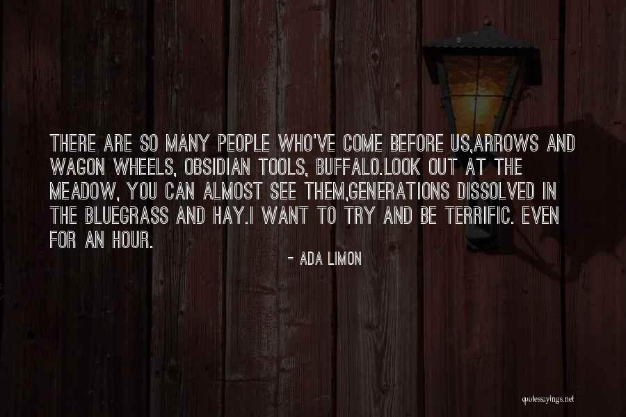 Limon Quotes By Ada Limon Limon Quotes By Ada Limon