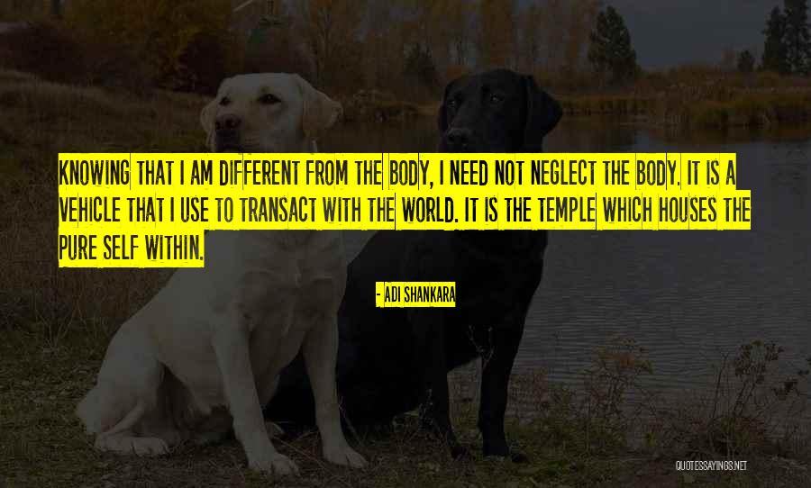 Limonov Livejournal Quotes By Adi Shankara Limonov Livejournal Quotes By Adi Shankara