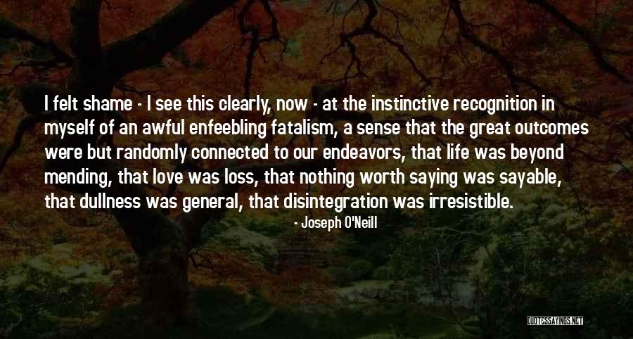 Limor Fried Quotes By Joseph O'Neill Limor Fried Quotes By Joseph O'Neill