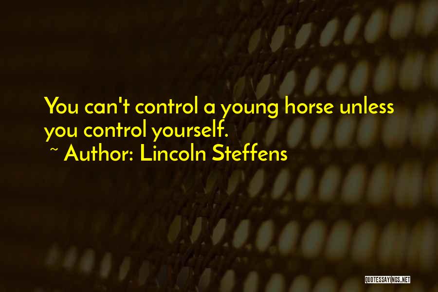 Lincoln Steffens Quotes 956512