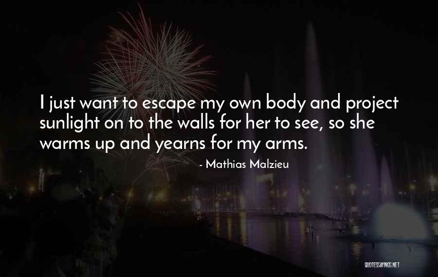Lincolnian Quotes By Mathias Malzieu Lincolnian Quotes By Mathias Malzieu