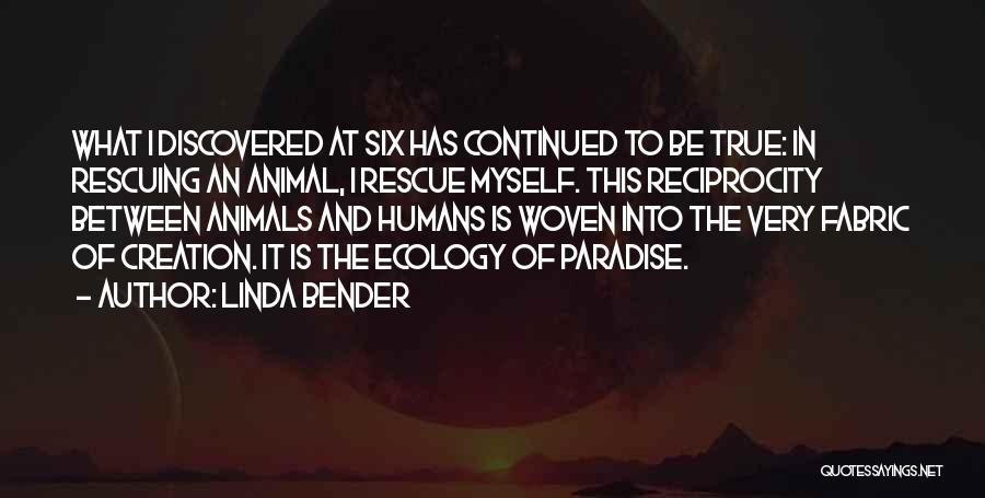 Linda Bender Quotes 1609919