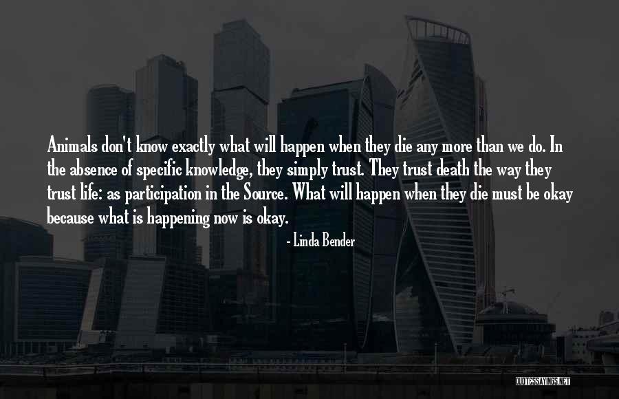 Linda Bender Quotes 197045 Linda Bender Quotes 197045