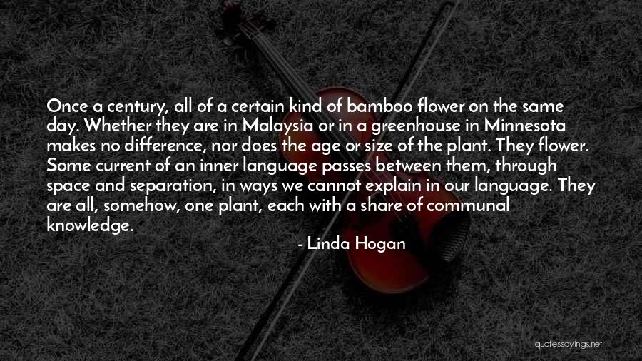 Linda Hogan Quotes 1303476