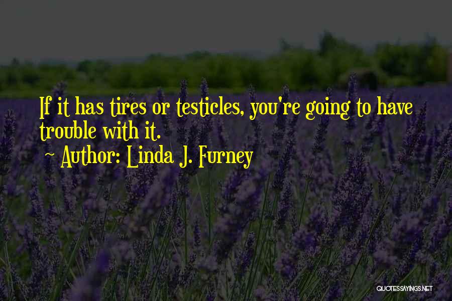 Linda J. Furney Quotes 1724459