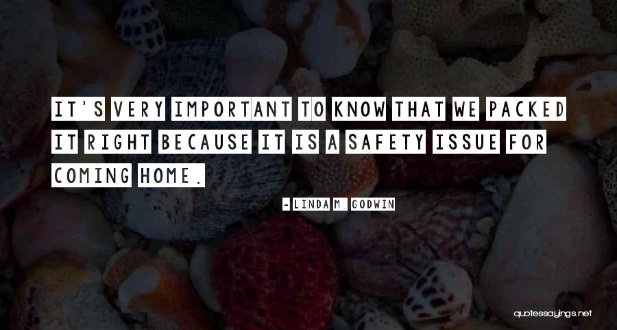 Linda M. Godwin Quotes 1980559 Linda M. Godwin Quotes 1980559