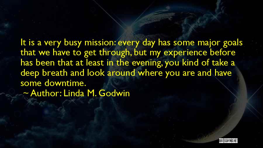 Linda M. Godwin Quotes 2042444