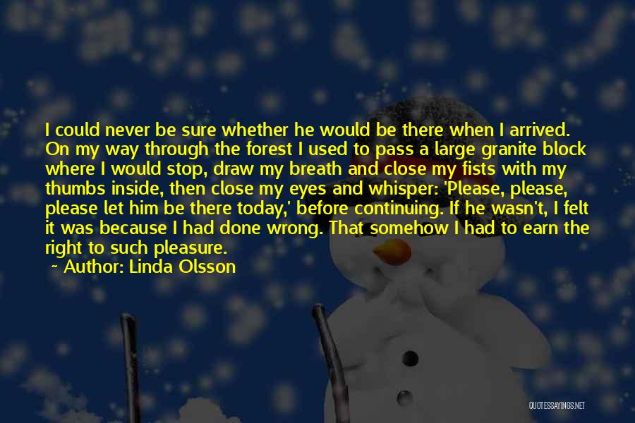 Linda Olsson Quotes 1968311